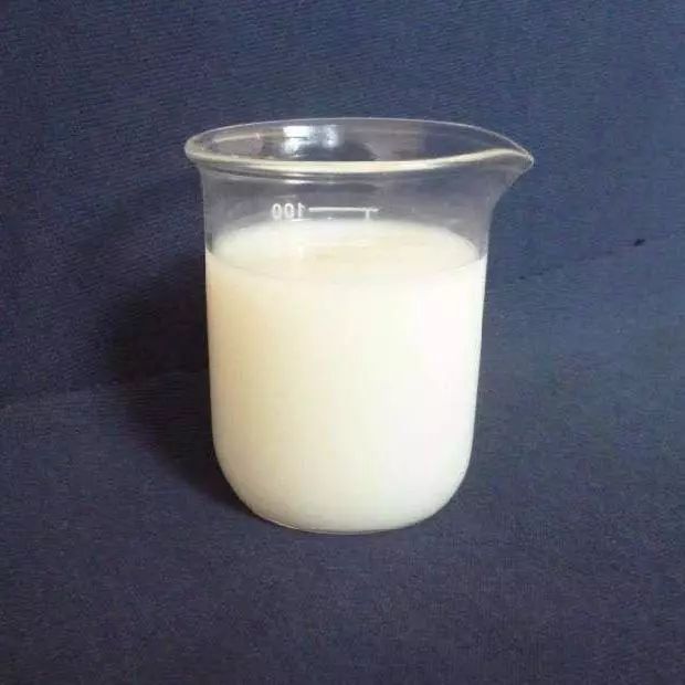印前版輥壓輥和導輥檢查工作